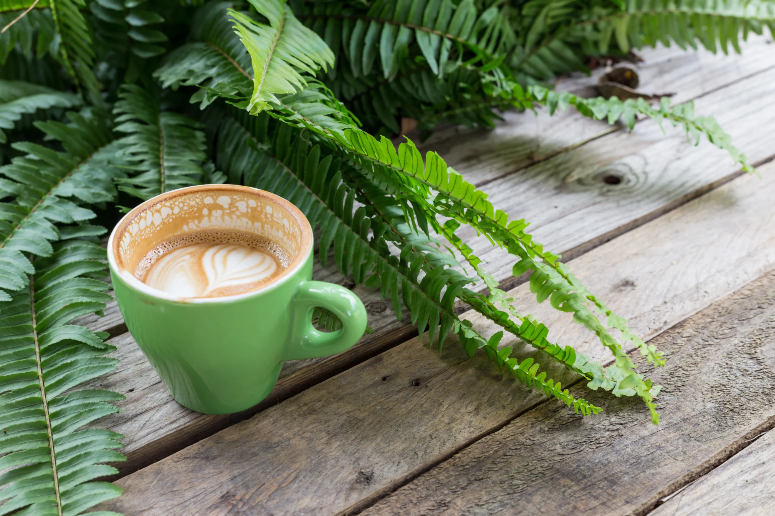 How to Make Vegan Coffee: Substitutions and Tips for the Perfect Brew