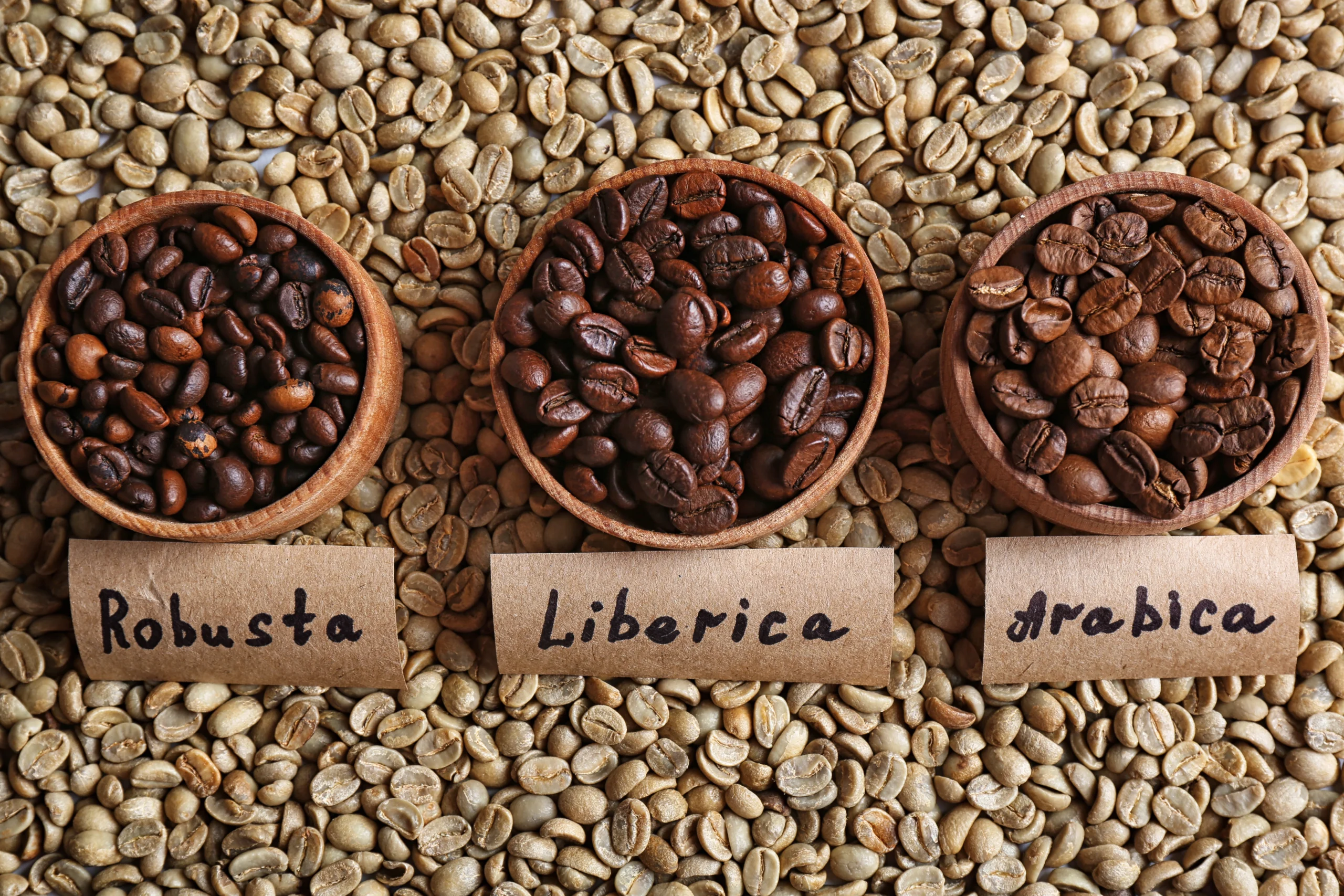 The World of Coffee: How Different Cultures Prepare the Beverage